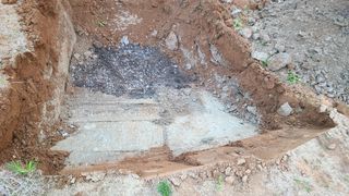 강릉 농사초보자님의 5월 농사계획 공유하기 · 참여글 작성글 사진