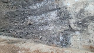 강릉 농사초보자님의 5월 농사계획 공유하기 · 참여글 작성글 사진