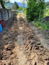 팜모닝 고구마·영농일지 게시글 이미지