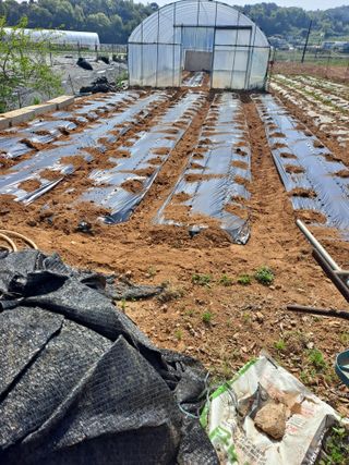 호박 정정호님의 5월 농사계획 공유하기 · 참여글 작성글 사진