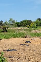 팜모닝 호박·자유게시판 게시글 이미지