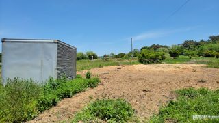 김중언님의 호박 · 자유게시판 작성글 사진