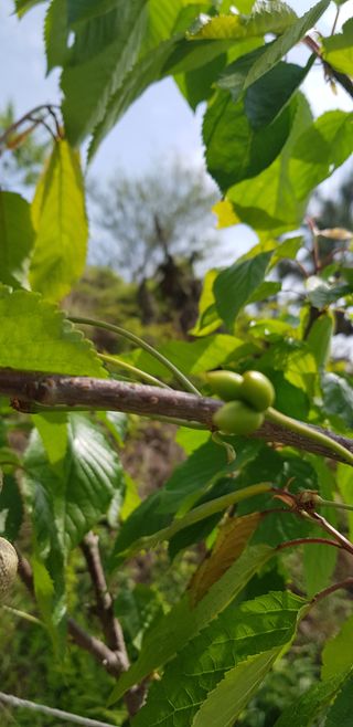 hhoo님의 자유주제 · 사진전 작성글 사진