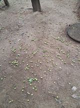 팜모닝 자유주제·건의해요 게시글 이미지