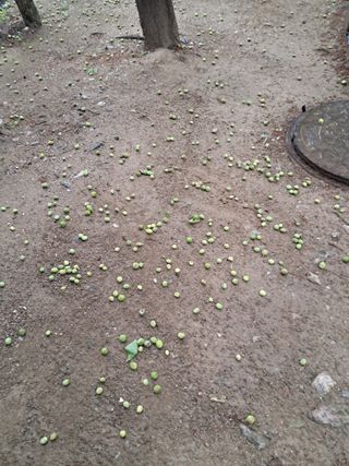 송경원님의 자유주제 · 건의해요 작성글 사진