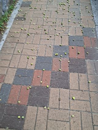 송경원님의 자유주제 · 건의해요 작성글 사진