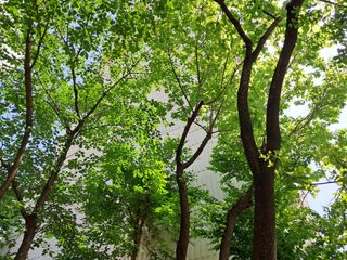 송경원님의 자유주제 · 건의해요 작성글 사진