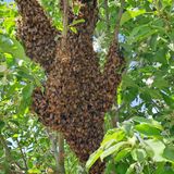 팜모닝 자유주제·자유게시판 게시글 이미지