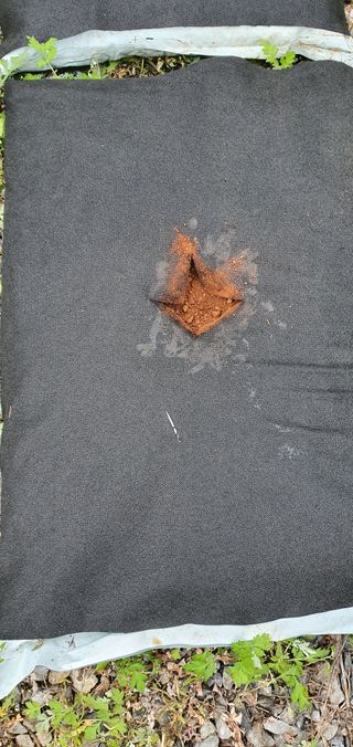 최기덕님의 5월 농사계획 공유하기 · 참여글 작성글 사진