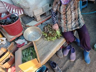 알 수 없음님의 자유주제 · 자유게시판 작성글 사진