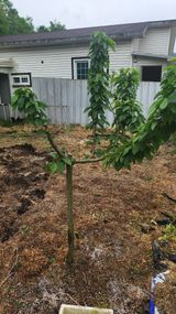 팜모닝 자유주제·자유게시판 게시글 이미지