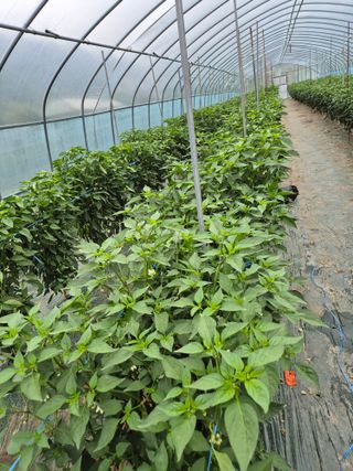 김혜순님의 자유주제 · 자유게시판 작성글 사진