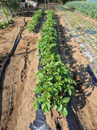 김혜순님의 자유주제 · 자유게시판 작성글 사진