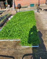 팜모닝 5월 농사계획 공유하기·참여글 게시글 이미지