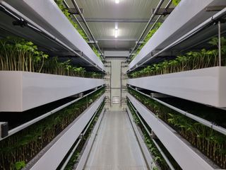 새싹삼의정원님의 자유주제 · 자유게시판 작성글 사진