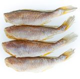 팜모닝 자유주제·자유게시판 게시글 이미지