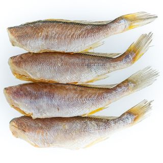 직송포유님의 자유주제 · 자유게시판 작성글 사진