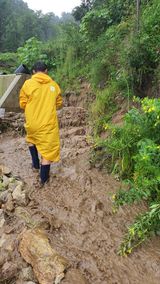 팜모닝 팜모닝·출석 게시글 이미지