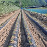 팜모닝 자유주제·자유게시판 게시글 이미지