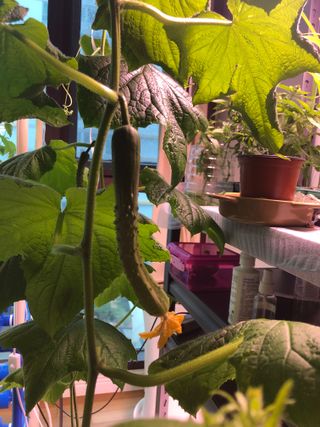 이정우님의 자유주제 · 자유게시판 작성글 사진