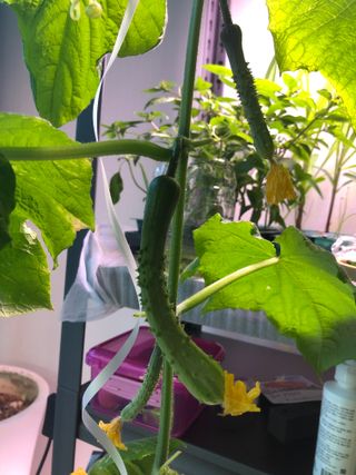 이정우님의 자유주제 · 자유게시판 작성글 사진