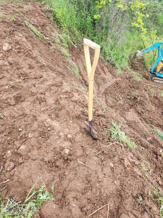 박미란님의 자유주제 · 자유게시판 작성글 사진