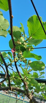 팜모닝 기타작물·자유게시판 게시글 이미지