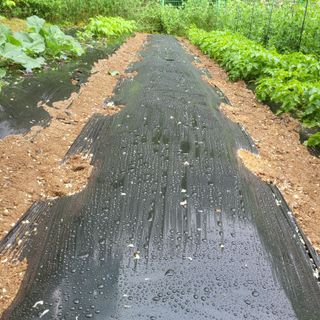 이창화님의 자유주제 · 자유게시판 작성글 사진