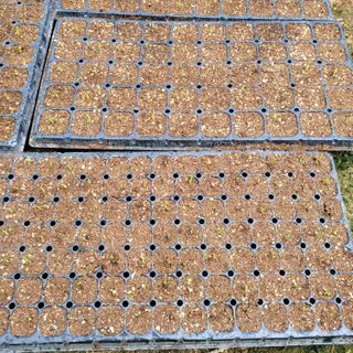 이창화님의 자유주제 · 자유게시판 작성글 사진