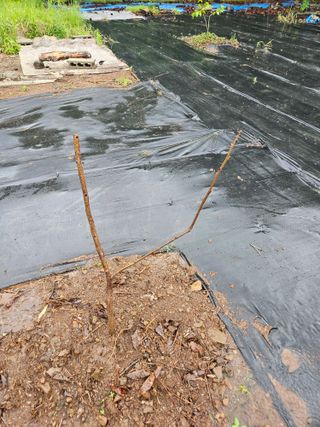 반도님의 자유주제 · 자유게시판 작성글 사진