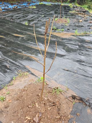 반도님의 자유주제 · 자유게시판 작성글 사진