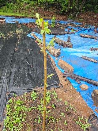 반도님의 자유주제 · 자유게시판 작성글 사진