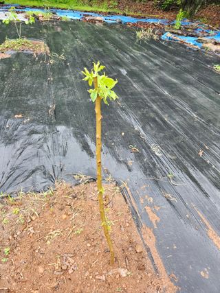 반도님의 자유주제 · 자유게시판 작성글 사진