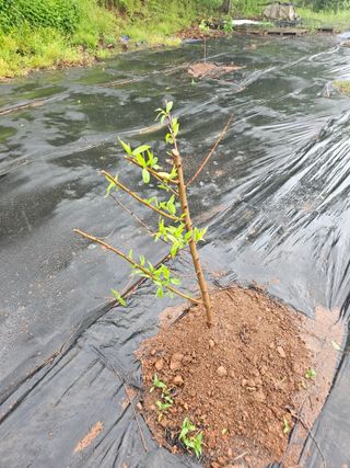 반도님의 자유주제 · 자유게시판 작성글 사진