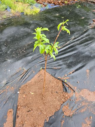 반도님의 자유주제 · 자유게시판 작성글 사진