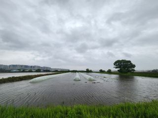 열혈특공님의 벼 · 영농일지 작성글 사진