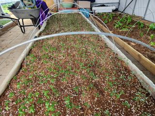 김익경님의 자유주제 · 자유게시판 작성글 사진