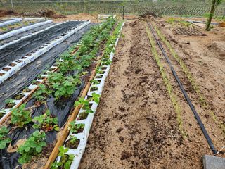 김익경님의 자유주제 · 자유게시판 작성글 사진