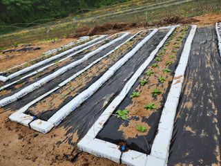 김익경님의 자유주제 · 자유게시판 작성글 사진