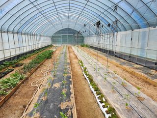 김익경님의 자유주제 · 자유게시판 작성글 사진