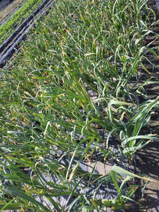 우영옥님의 자유주제 · 자유게시판 작성글 사진