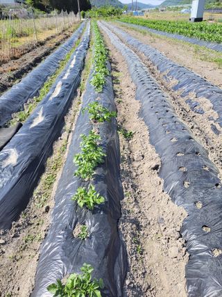 우영옥님의 자유주제 · 자유게시판 작성글 사진