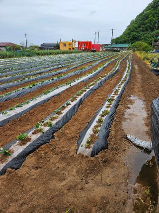 osm님의 자유주제 · 자유게시판 작성글 사진