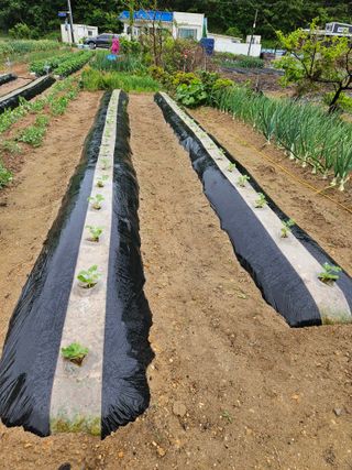 osm님의 자유주제 · 자유게시판 작성글 사진