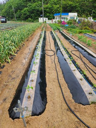 osm님의 자유주제 · 자유게시판 작성글 사진