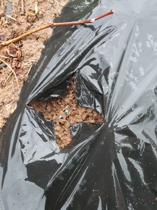 김영복님의 자유주제 · 자유게시판 작성글 사진