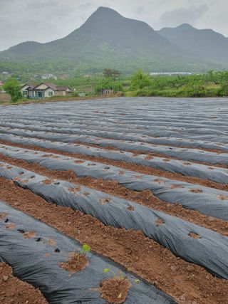 김영복님의 자유주제 · 자유게시판 작성글 사진