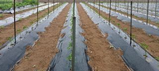 정진해님의 자유주제 · 자유게시판 작성글 사진