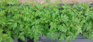 정진해님의 자유주제 · 자유게시판 작성글 사진