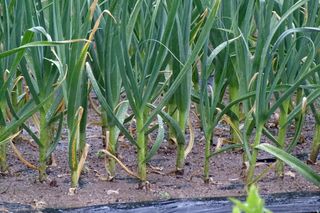 정진해님의 자유주제 · 자유게시판 작성글 사진